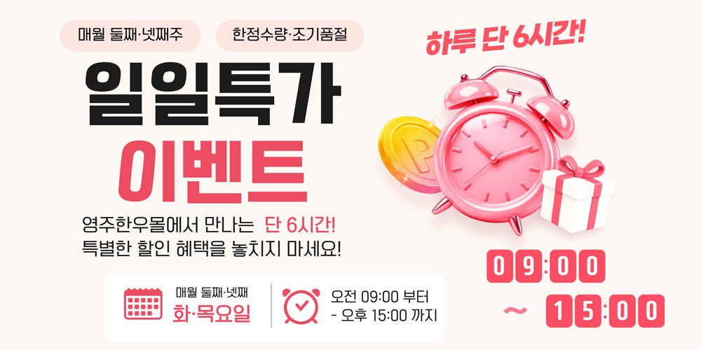 일일특가