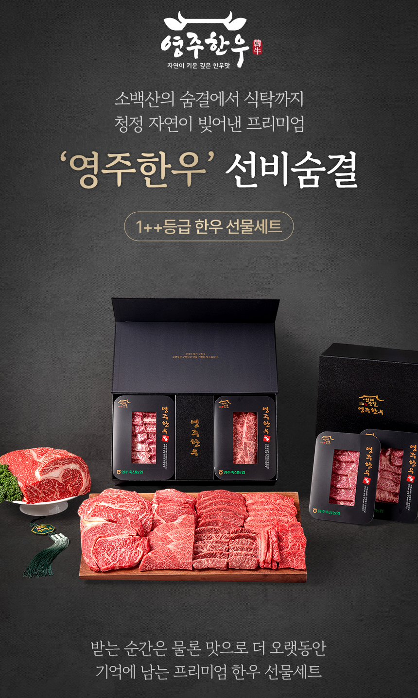 전체 대표 이미지